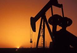 Petrol fiyatları 2 yılda yüzde 350 arttı