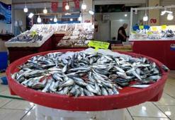 Balık tezgahları doldu, fiyatlar düştü