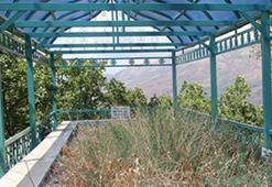 Hz. Yuşa kimdir? Hz. Yuşa'nın mucizeleri ve hayatı