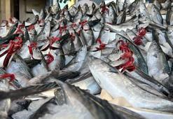 Balık fiyatları dibi gördü! Kilo fiyatı herkesi şaşırttı