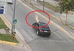 Türkiye’de 8 ayda 1469 kişi, trafik kazalarında öldü