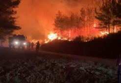 Marmaris'te orman yangını kontrol altına alındı!