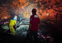 Antalya'daki orman yangınında 15 hektar zarar gördü