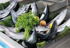 Balık fiyatları ile ilgili flaş açıklama: Ekim ayı ucuz balıkla geçecek