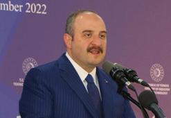 Bakan Varank: Anayasa Mahkememiz karar vermiş değil