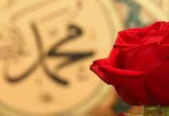 Hz. Muhammed ne zaman doğdu, Hicriye göre Peygamber efendimizin doğum günü ne zaman? İşte Hz. Muhammed’in doğum tarihi…