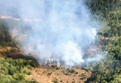 Kütahya'da orman yangını!