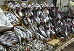Balık fiyatları ile ilgili yeni açıklama! Palamut 20 liraya geriledi