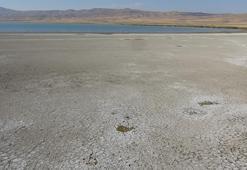 Erçek Gölü’nde korkutan görüntü