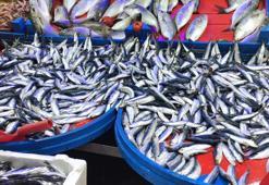 Balık fiyatları düştükçe düştü! Kilosu 20 lira