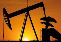 Yeni petrol keşfi müjdesi! Müjdeli haber geldi: Milyar dolar değerinde