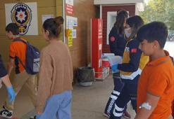 Kovana sopayla vurdular, 15 öğrenciyi arılar soktu! Okul tatil edildi