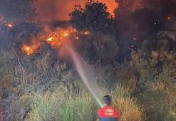 Bodrum'da makilik yangını; 5 dönüm zarar gördü