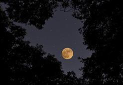 Koç dolunayı ne zaman bitiyor? Koç dolunayının etkisi ne kadar sürecek? Koç dolunayı ne zaman başlamıştı?