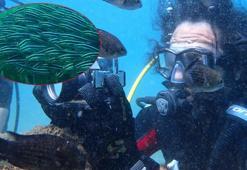 Keşif dalışında ilk defa görüldü: Zehirli dikenli çizgili kedi balığı Akdeniz'e yerleşti