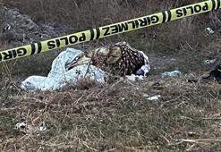 Karısına fare zehri verip işe gitti, döndüğünde yaşadığını görünce boğarak öldürdü!