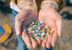 Mikroplastik nedir, canlı yaşamına etkisi nelerdir? Anne sütünde mikroplastik görülmesi ne demek?