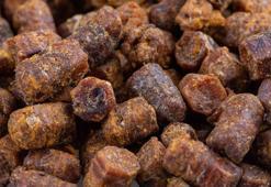 Kansere karşı çok etkili, antioksidan etkisi gösteriyor! En az 20 damla yetiyor