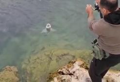 Elazığlı balıkçılar, olta ile 1.5 metrelik balık tuttu