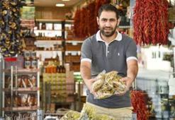 Ihlamurun kilo fiyatı, gram altınla yarışıyor
