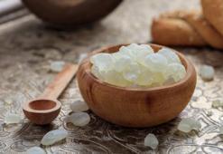 Damla sakızı neden üretiliyor? Damla sakızı zayıflatır mı? Damla sakızı faydaları nelerdir?