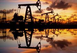 Benzin fiyatları düşecek mi? ABD varil petrol satış bildirimini ne zaman yayınlayacak? ABD başkanı Biden ne zaman açıklama yapacak?