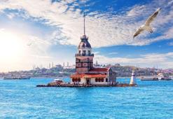 Marmara Denizi için tehlike çanları çalıyor: "İstilacı türler kapıda"