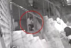 Nilayım adlı köpeğe tecavüz iddiası! Kaşını alarak kurtulmaya çalıştı