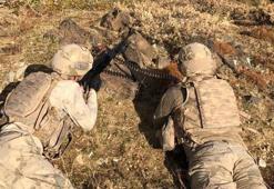 İçişleri: Muş'ta 'Eren Abluka Sonbahar Kış-5 Operasyonu' başlatıldı