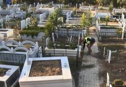 Mezar sayısı yaşayanların üç katına çıktı: 'Sorunun çözümü için para almak zorunda kalıyoruz'