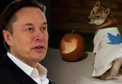 Elon Musk'tan Dogecoin paylaşımı! Yükseliş başladı