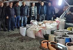 'Düzce kuzusu' pazara indi! Kilo fiyatı belli oldu