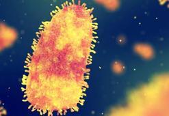 Kuduz hastalığı nedir, nasıl bulaşır, belirtileri nelerdir? İnsandan insana bulaşır mı, kuduz tedavisi var mı?