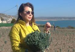 Ünlü ismin kızı babasının hayalini gerçekleştirdi! Türkiye’nin en büyüğünü kurdu