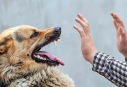 Kuduz aşısı ile ilgili korkuta açıklama