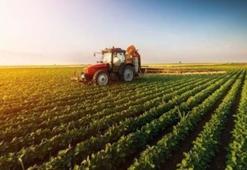 Tarımsal destek ödemeleri yattı mı? Tarımsal destek ödemeleri sorgulama ekranı