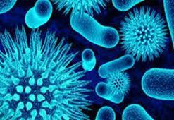 Kuduz olan insan sudan neden korkar? Kuduz belirtileri nelerdir, kuduz su ilişkisi bir belirti mi?