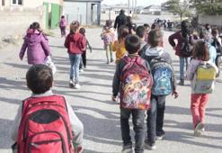 Kuduz köpeğin ısırdığı çocuğun köyünde başıboş köpekler korku saçıyor