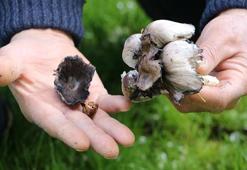 Mantardan 29 kişi zehirlendi, 2 kişi hayatını kaybetti