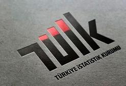 TÜİK Başkan Yardımcısı Fatih Şahin görevden alındı