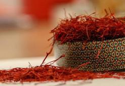 Kilosu 80 bin liraya kadar çıktı! Türkiye'de yetişiyor, dünyanın en değerlisi...