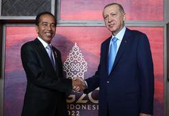 Cumhurbaşkanı Erdoğan, Endonezya Devlet Başkanı Widodo ile görüştü
