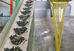 Litresi 100 lira! 'Fiyatlar yüzde 100 arttı'