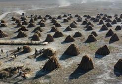 Ülkeye yıllık katkısı 1 milyon dolar! Avrupa ülkeleri sıraya giriyor