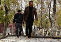 Bu yolda çıplak ayakla yürüyen şifa buluyor