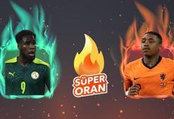 Senegal - Hollanda maçı Tek Maç ve Canlı Bahis seçenekleriyle Misli.com’da