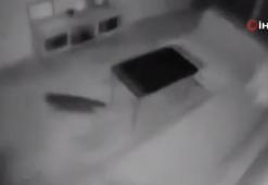 Düzce depremini hisseden kedinin panik anları anbean kameraya yansıdı!