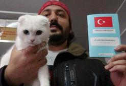 Kedi ve köpek sahipleri dikkat, yasal süre 31 Aralık’ta doluyor