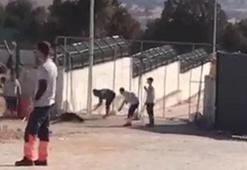 Konya'da hayvan bakımevindeki infial yaratan görüntülerle ilgili 2 gözaltı