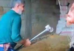 Mardin'de boğaya balyozlu şiddette 3 kişi tutuklandı